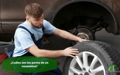 ¿Cuáles son las partes de un neumático?